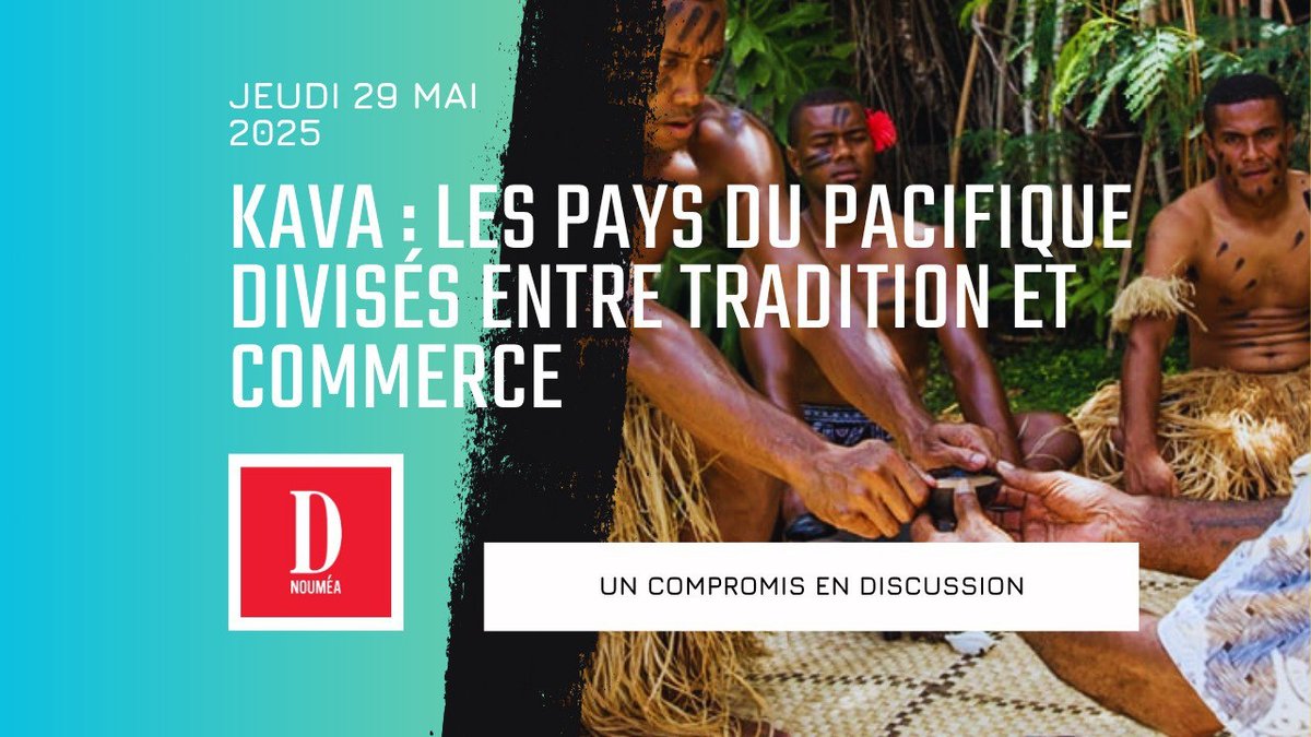 Kava : les pays du Pacifique divisés entre tradition et commerce