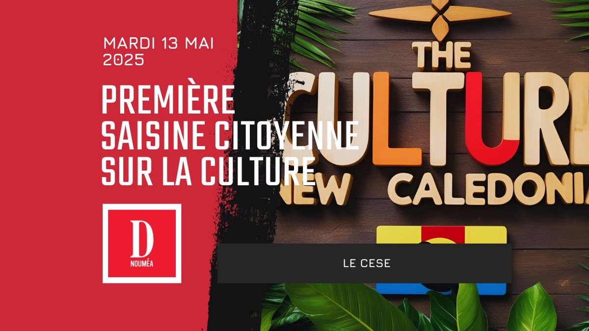 Le CESE de Nouvelle-Calédonie enregistre sa première saisine citoyenne sur la culture