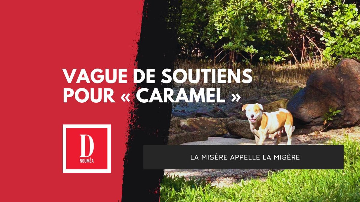 Une vague de soutiens pour « Caramel »
