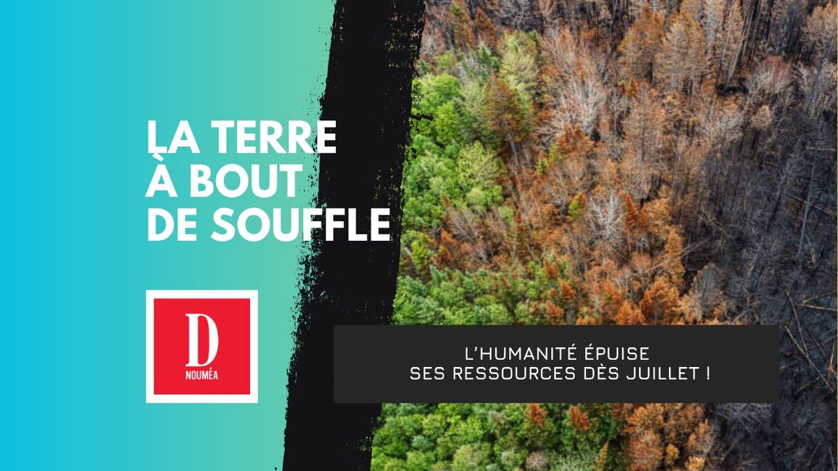 L’humanité vit à crédit dès le 24 juillet 2025 : l’alerte du GFN