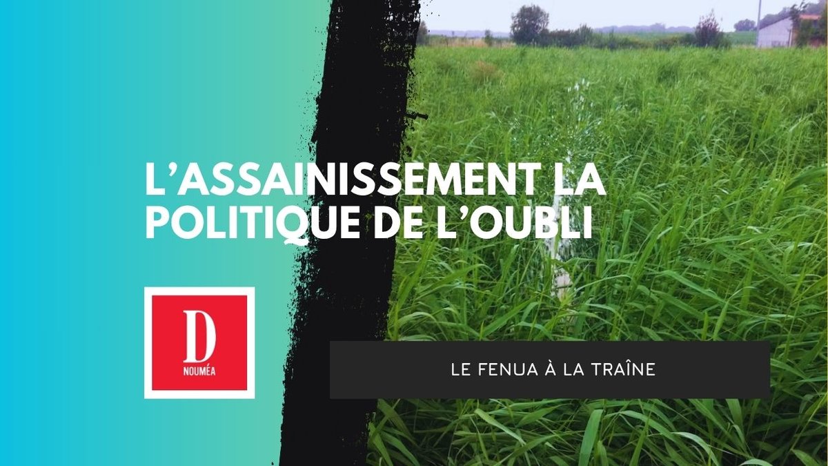 Ils vivent sur des fosses septiques… et personne ne contrôle rien !