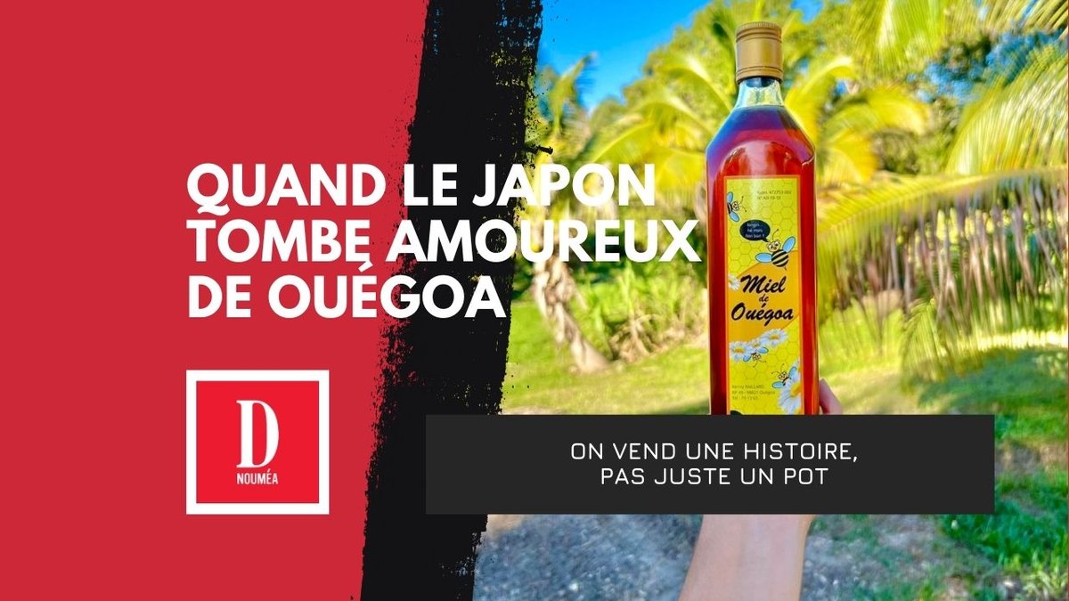 Miel calédonien : quand le Japon tombe amoureux de Ouégoa