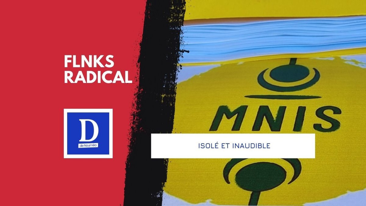 MNIS : le micro-parti qui joue les donneurs de leçons