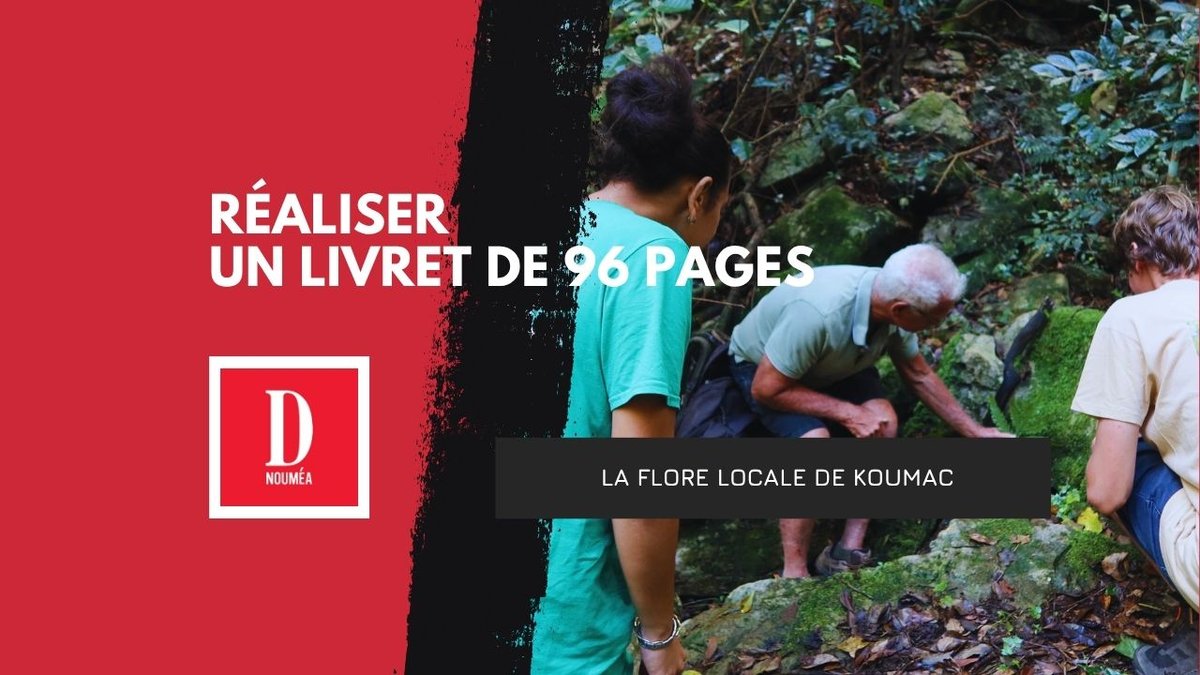 Koumac va dévoiler un livret botanique inédit