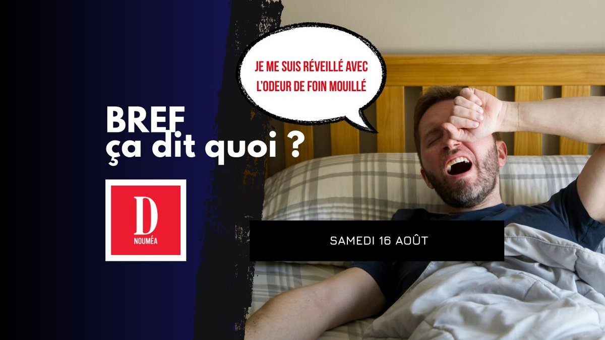 Je me suis réveillé avec l’odeur de foin mouillé