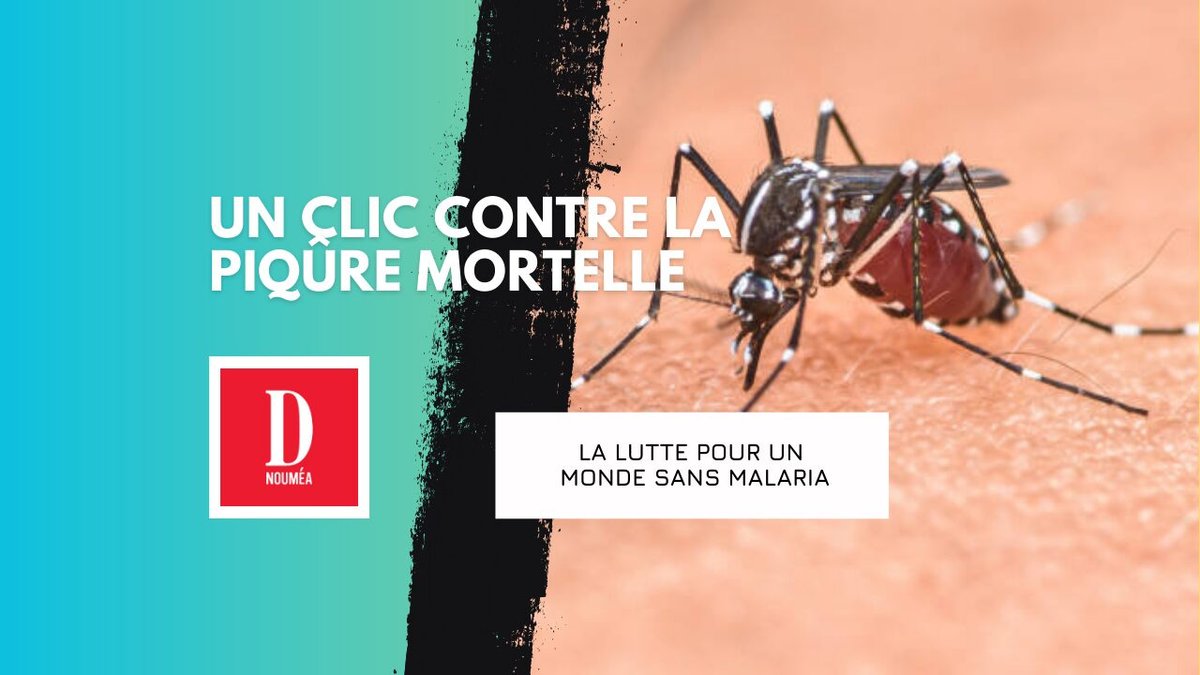 Journée du moustique : un fléau sous les projecteurs