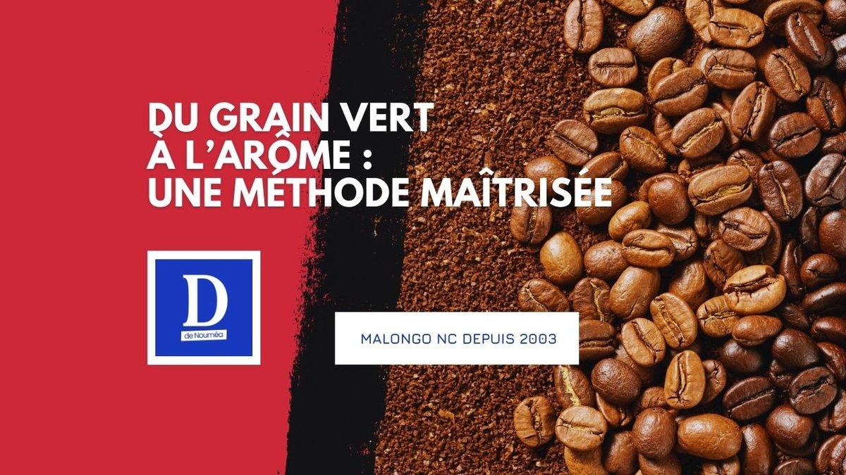 Malongo NC : au cœur du café calédonien depuis 2003