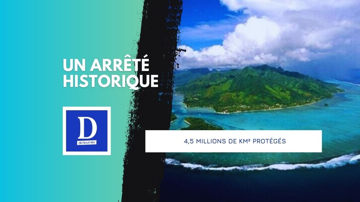 Polynésie française : un bouclier géant pour sauver l’océan