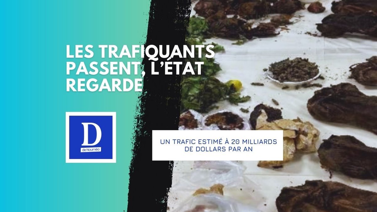 Animaux volés, virus importés : l’alerte rouge