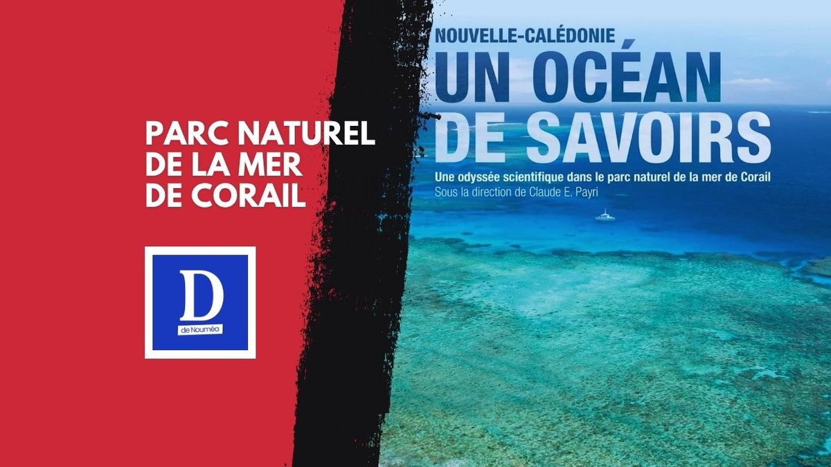 Océan de savoirs : la mer de Corail enfin racontée