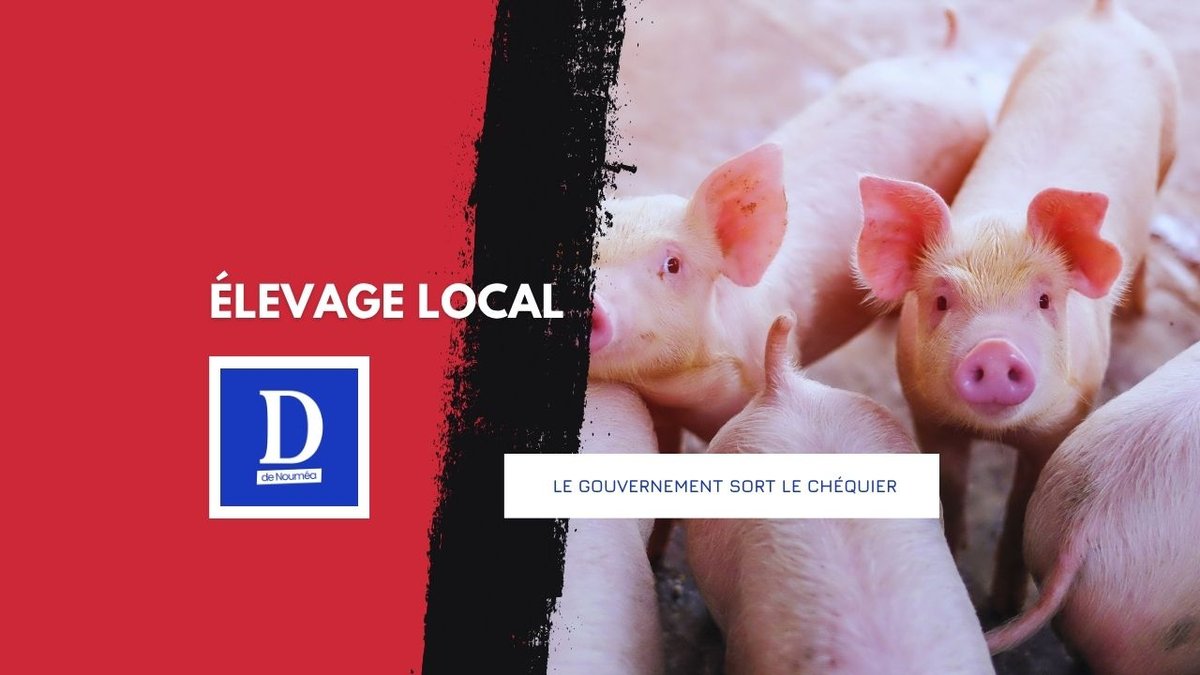 109 millions pour sauver l’élevage local
