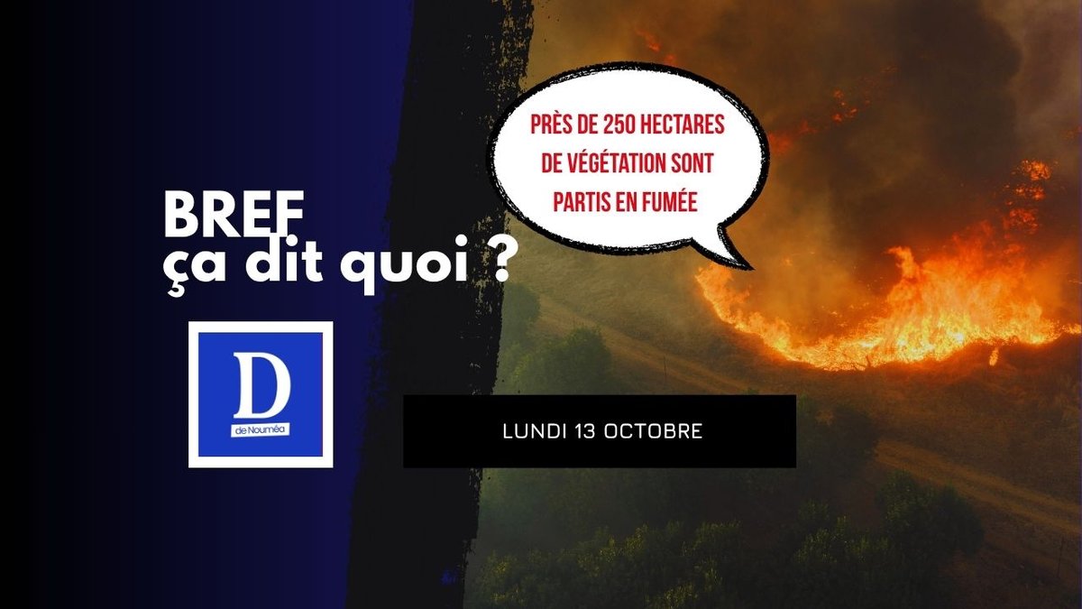 Païta en flammes, la fête du bœuf fait le plein et Lecornu reste à Matignon