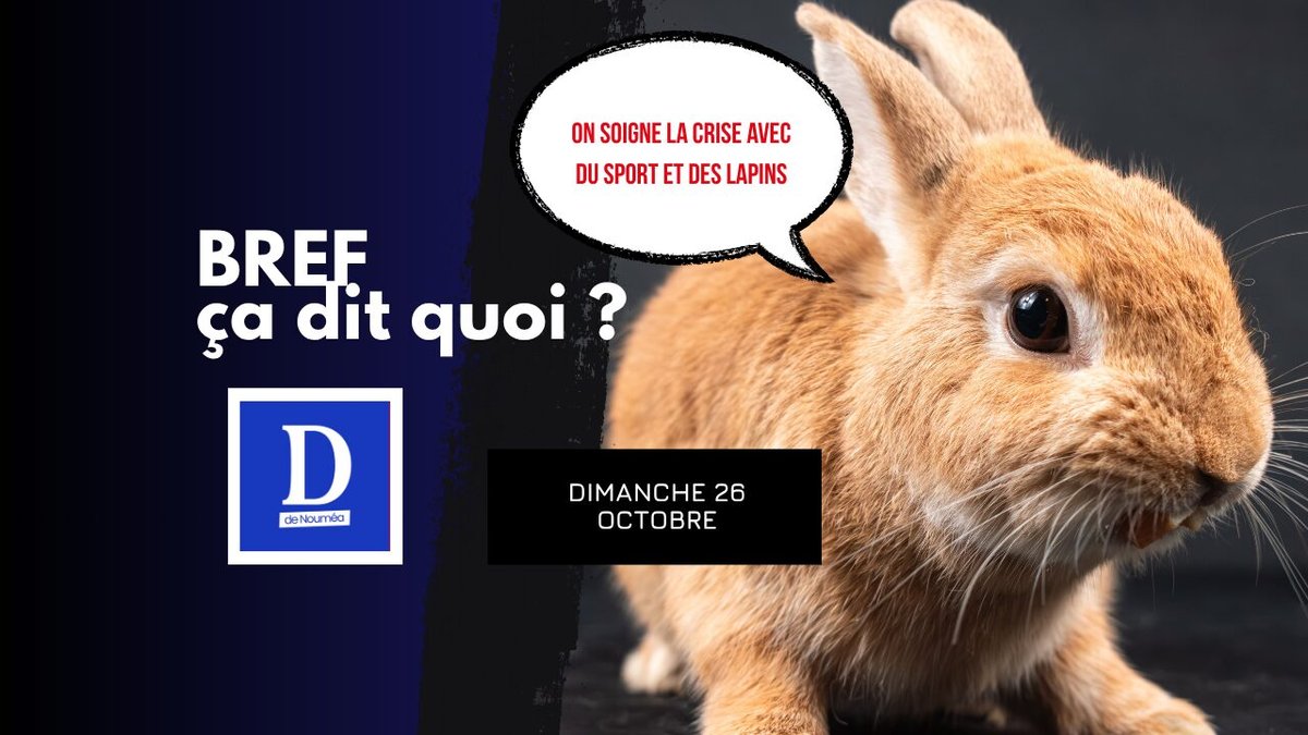 On soigne la crise avec du sport et des lapins