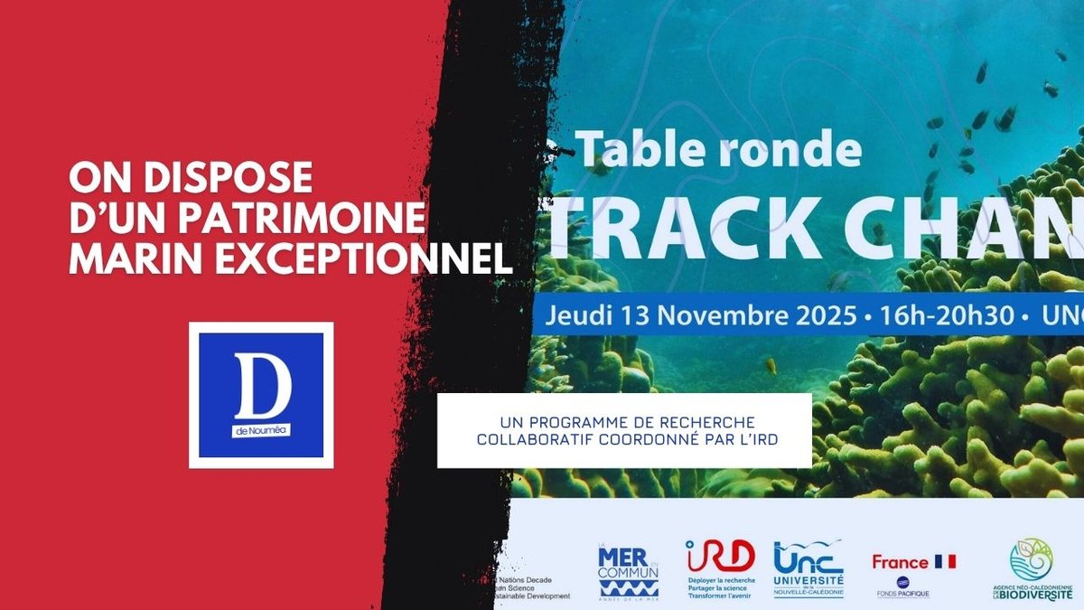 Comment le projet Track Changes veut sauver nos écosystèmes marins