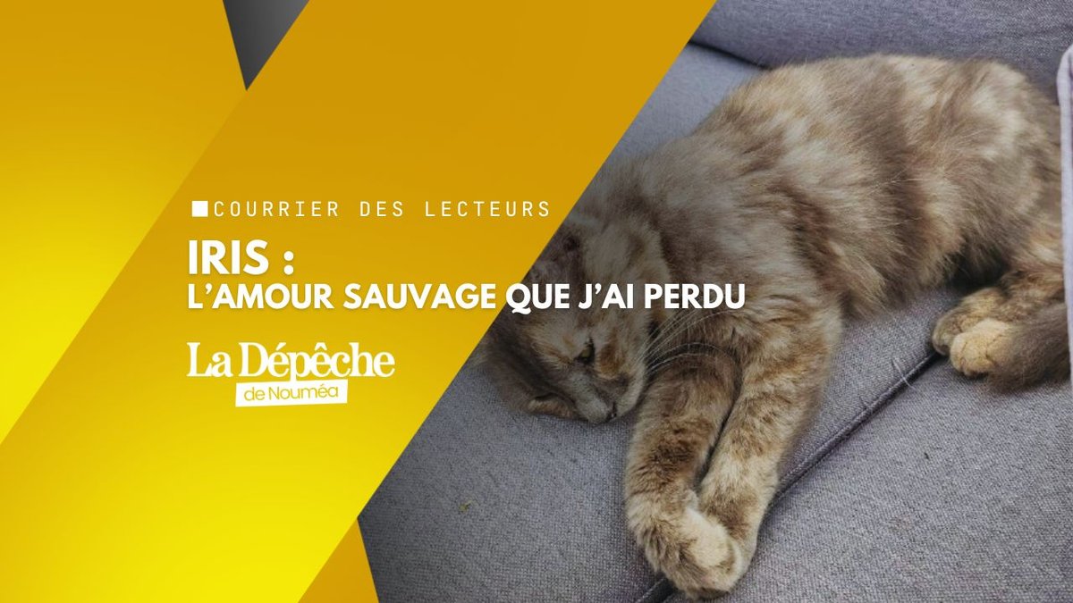 “Iris, l’amour sauvage que j’ai perdu au petit matin”