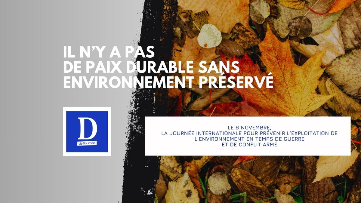 Quand la guerre dévaste aussi la nature : le cri d’alerte du 6 novembre