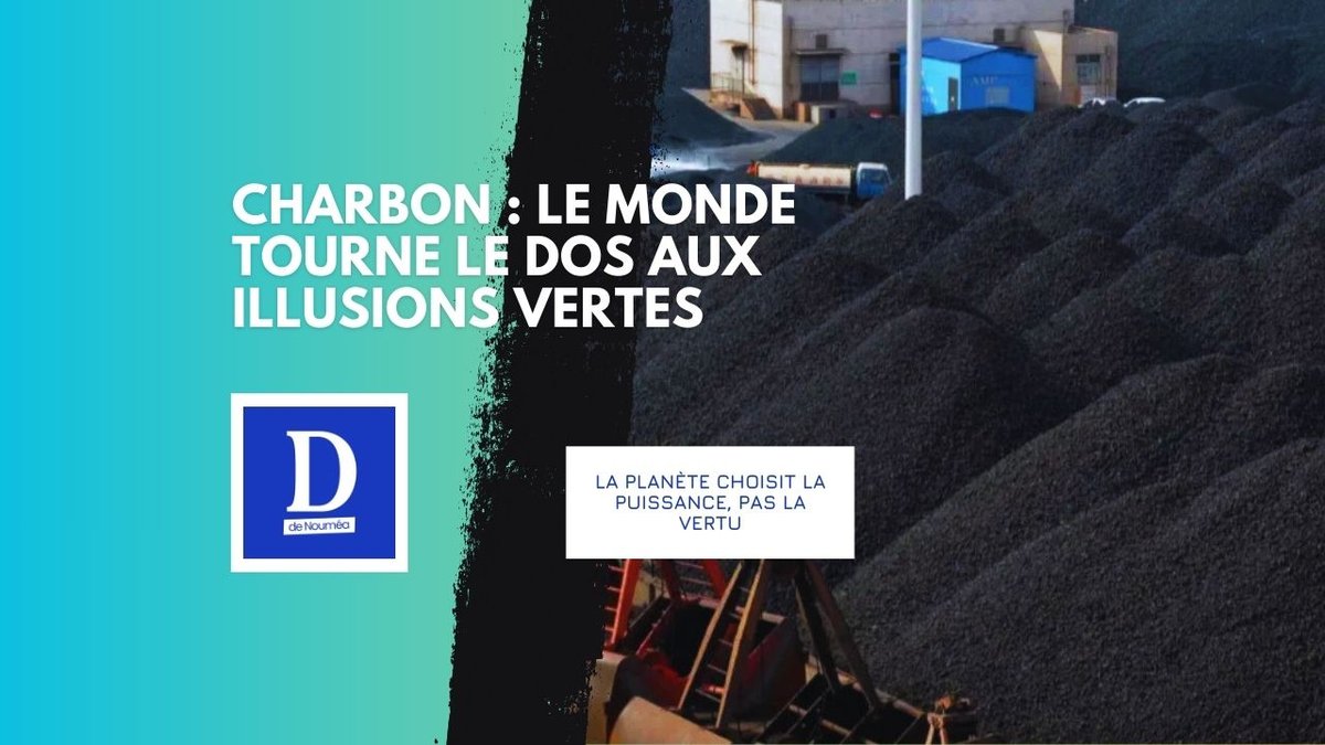 Charbon : record mondial en 2024, le grand retour du réel