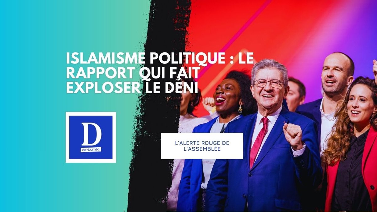 LFI dans le viseur : le rapport qui dérange