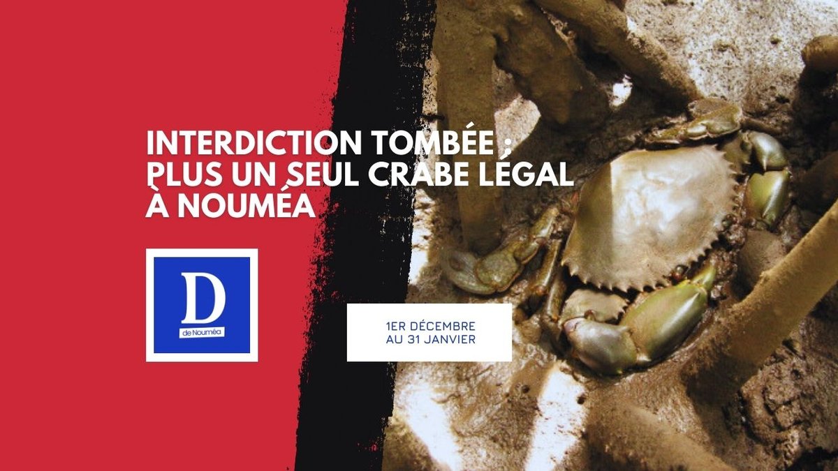 Ruée folle sur les crabes avant l’interdiction !