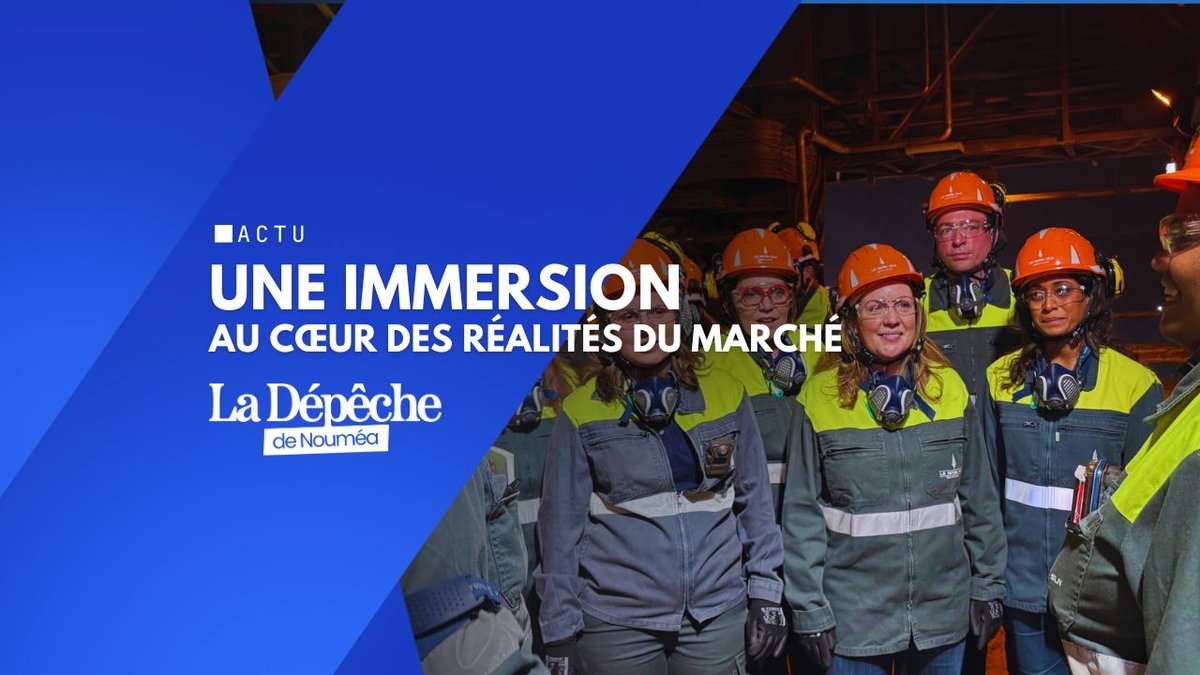 Nickel : les députés au cœur du poumon industriel de Doniambo