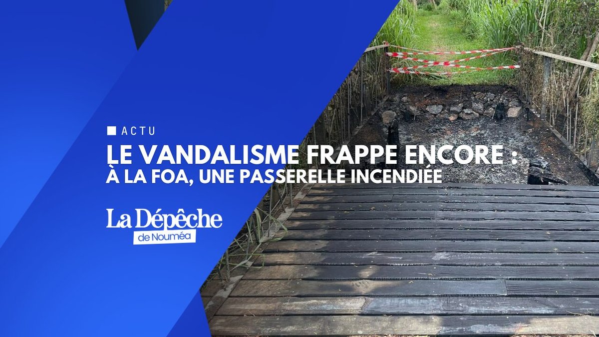 Dégradation au parc Soury Lavergne, la passerelle incendiée