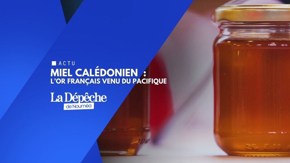 Paris consacre l’excellence : les miels calédoniens en or