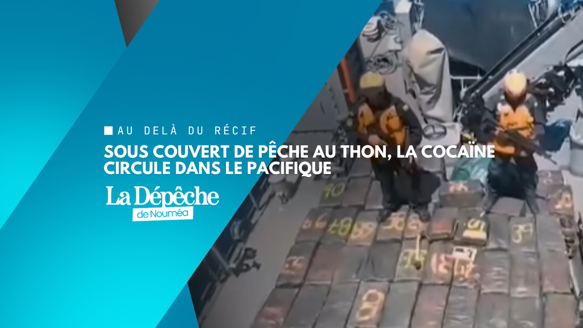 Trafic de cocaïne dans le Pacifique : les routes du thon exploitées par les réseaux criminels internationaux