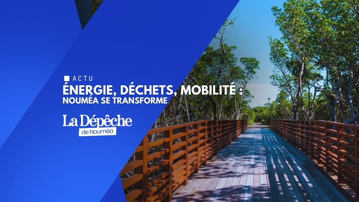 Municipales : Nouméa prête pour la révolution verte ?