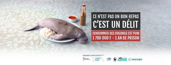 558843688_1123789206508410_2913733512667641567_n