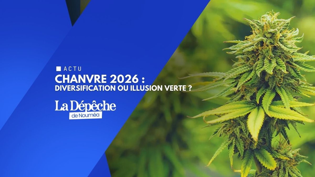 Filière chanvre : opportunité ou pari risqué ?