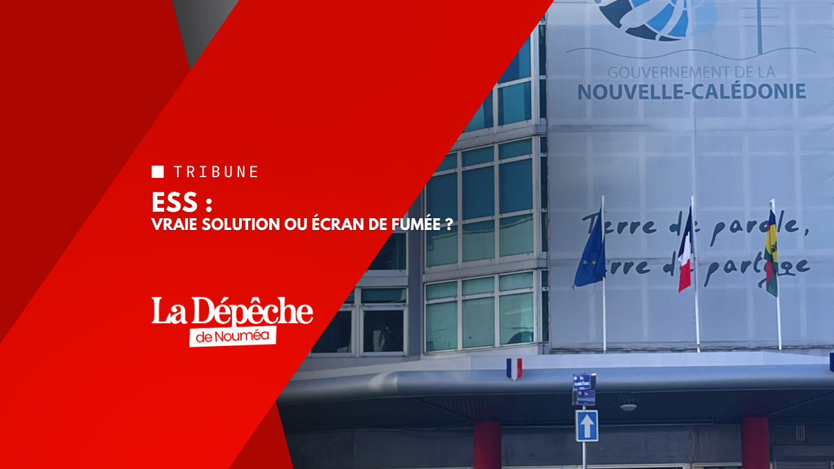 Économie à genoux : encore une étude au lieu d’agir ?