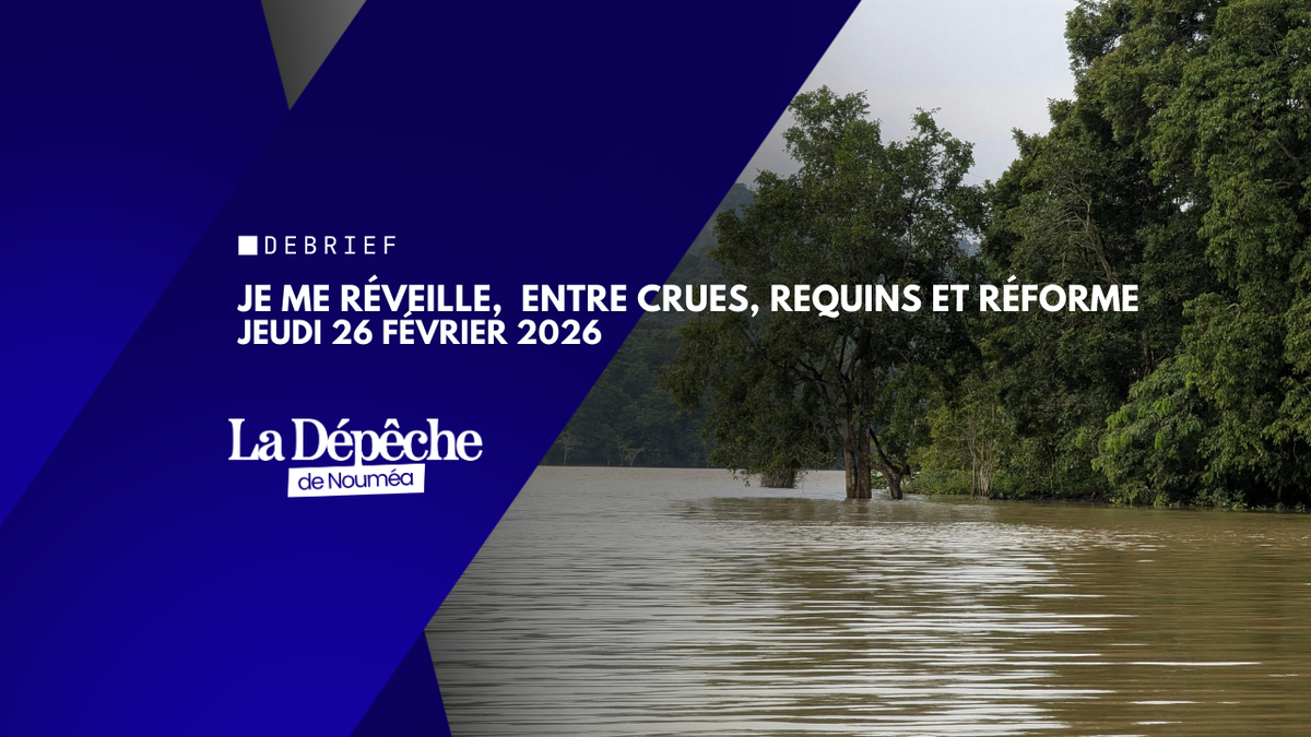 Je me réveille, entre crues, requins et réforme