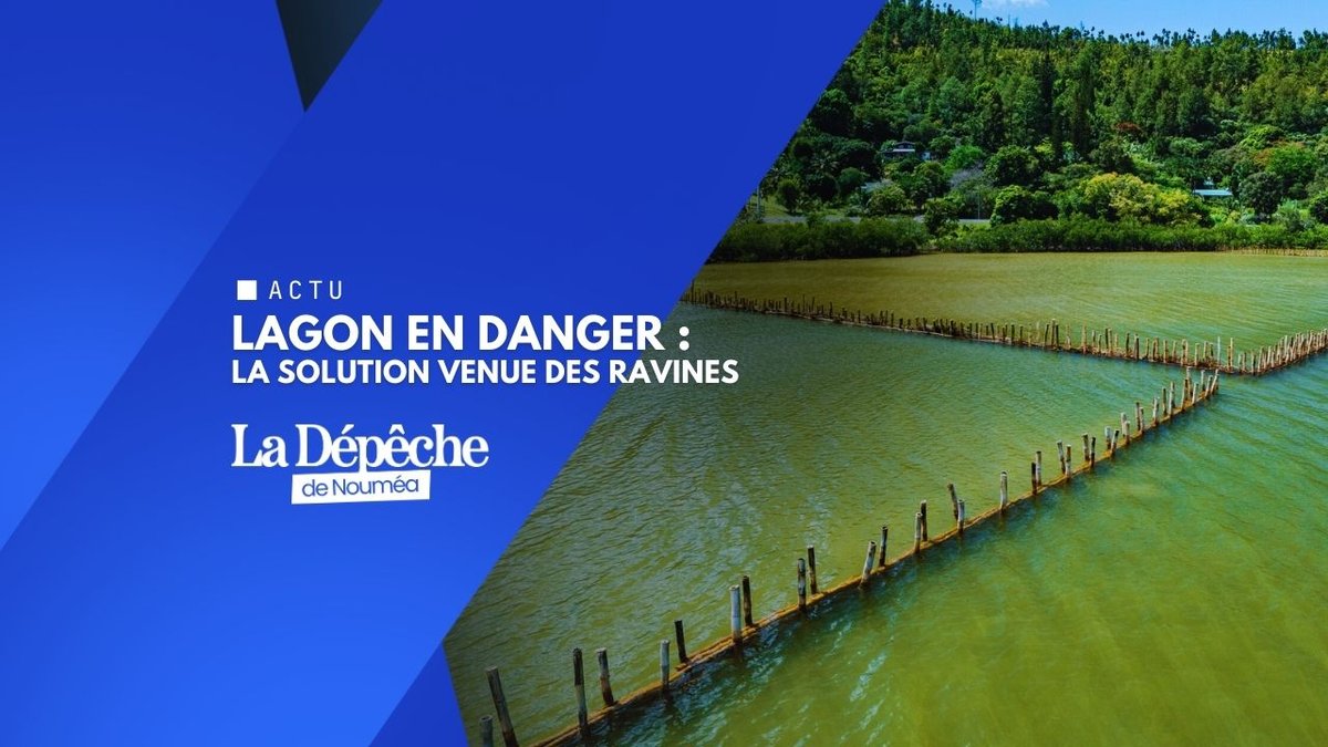 Boues rouges : la contre-attaque s’organise