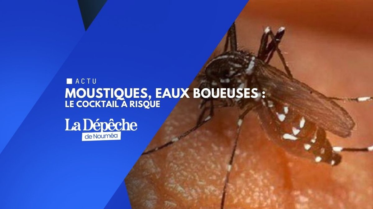 Après les pluies, le risque sanitaire grimpe