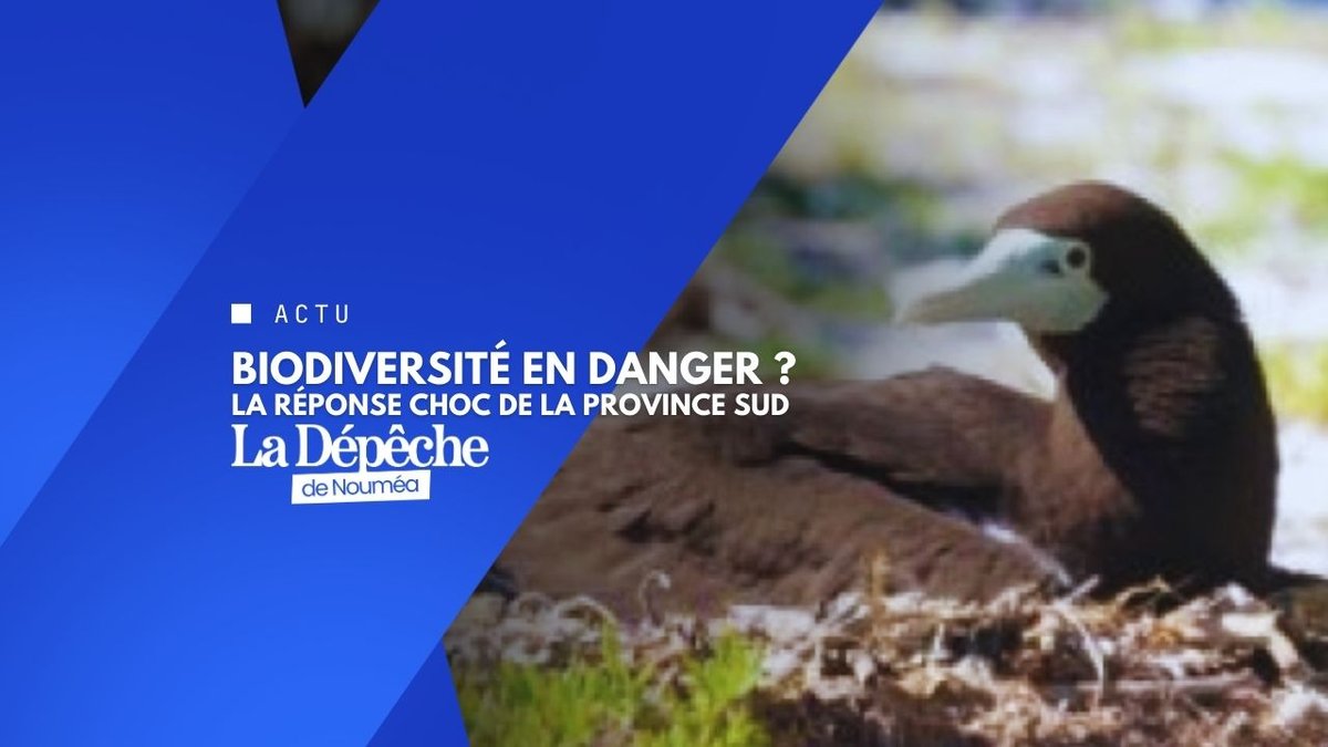 Nature vs humains : le pari gagnant du Grand Lagon Sud