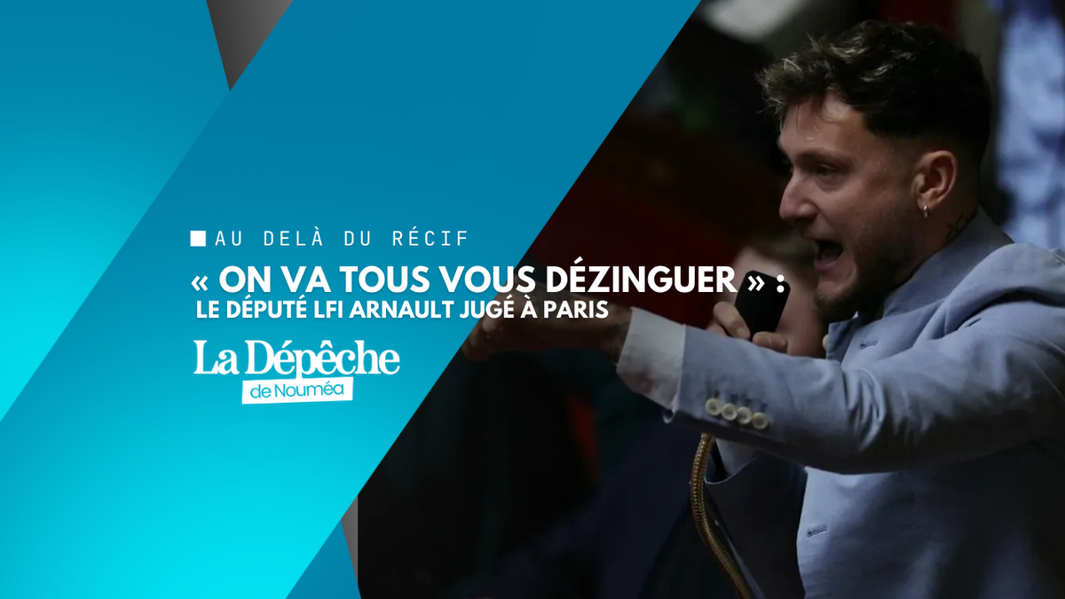 Violence politique : le député LFI Arnault rattrapé par la justice