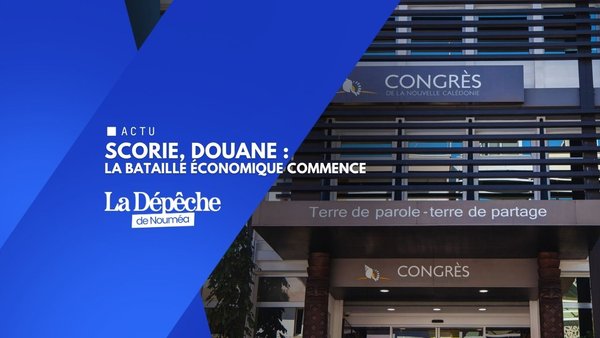 Santé, nickel : le Congrès sort l’artillerie lourde