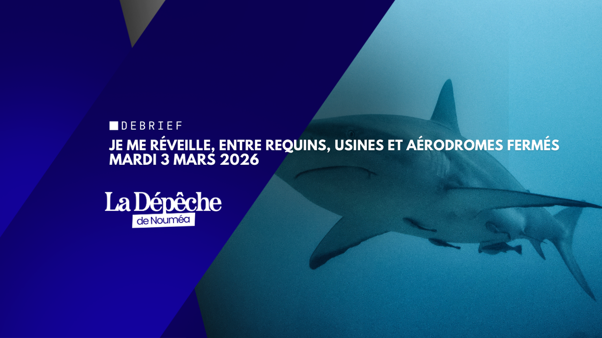 Je me réveille, entre requins, usines et aérodromes fermés