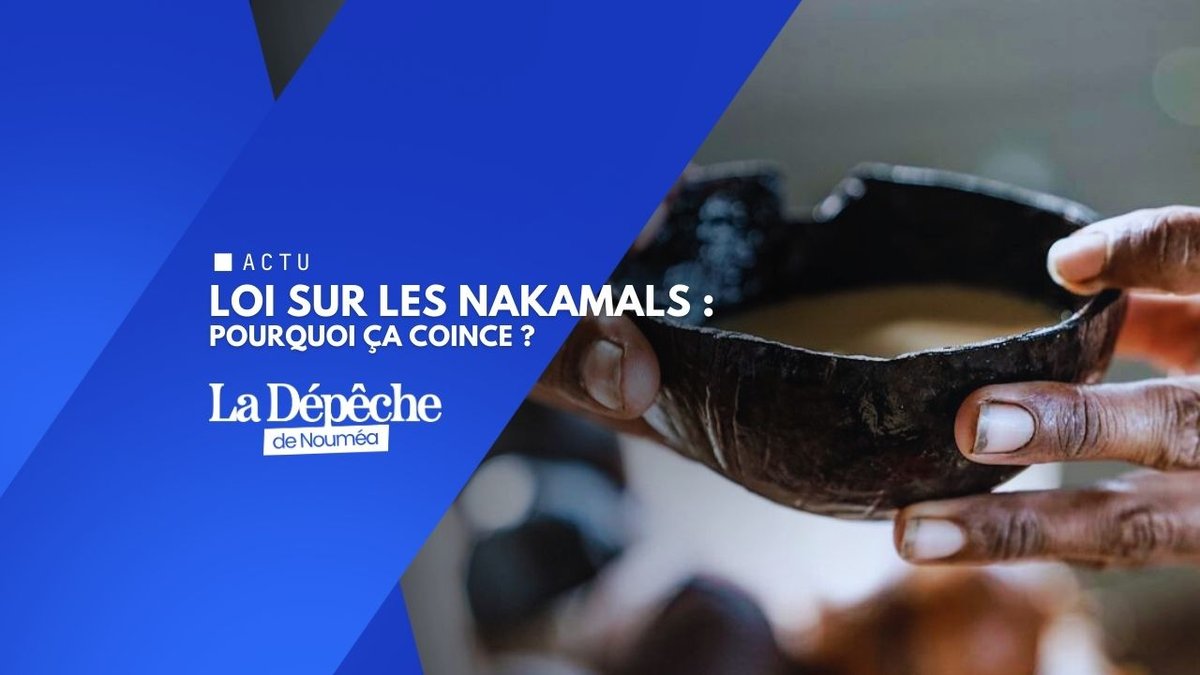 NakamaIs : réguler ou laisser faire ?