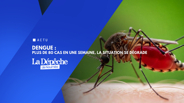 Dengue en Nouvelle-Calédonie : l’épidémie est déclarée, la vigilance devient urgente