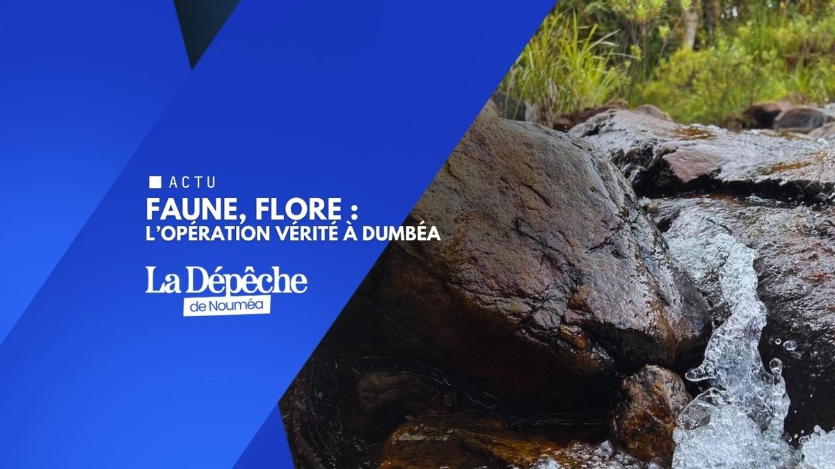 Ce que cache vraiment la nature de Dumbéa