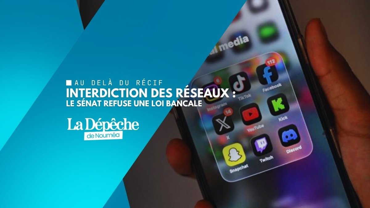Réseaux sociaux : le Sénat bloque le plan de Macron