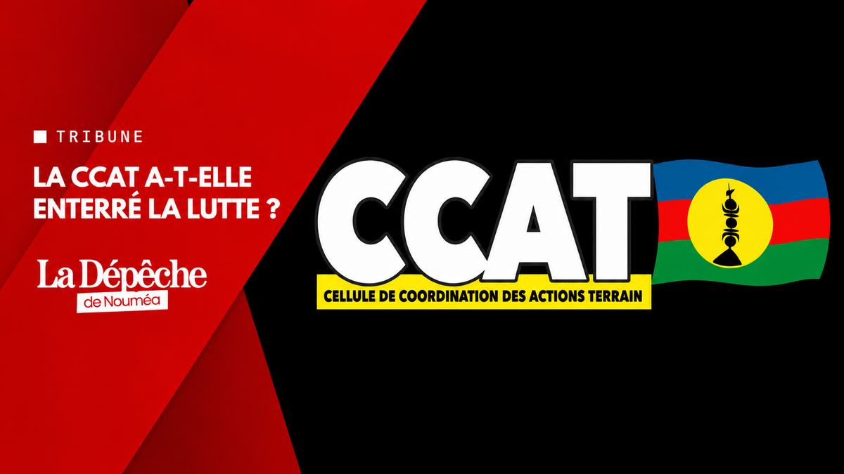 La CCAT a-t-elle enterré la lutte ?