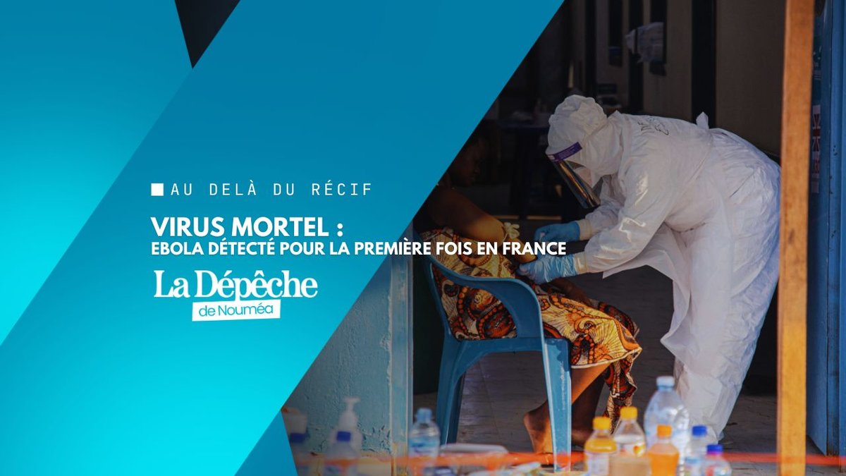 Ebola débarque en France : ce que l’État redoute