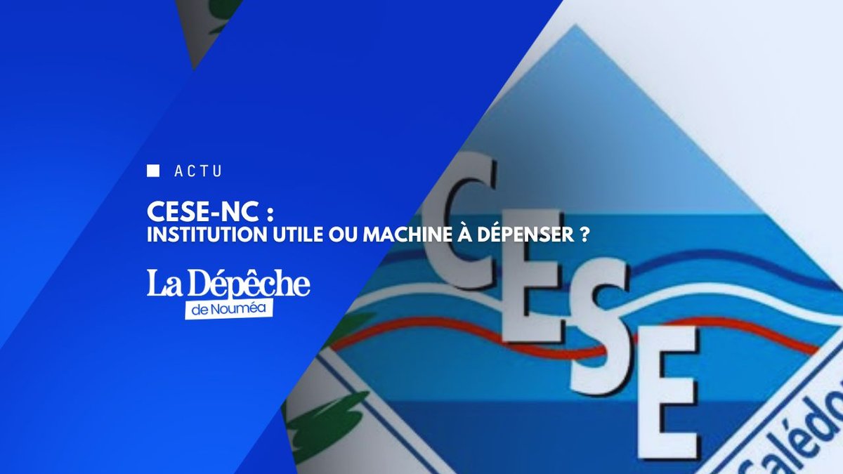 Le CESE-NC est-il devenu une usine à gaz ?