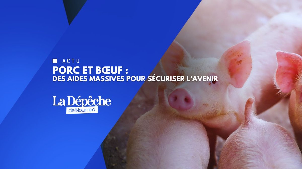 68 millions injectés pour sauver les éleveurs calédoniens