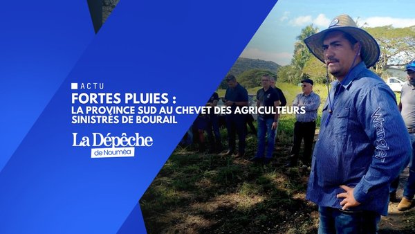 Fortes pluies : la province Sud au chevet des agriculteurs sinistrés de Bourail