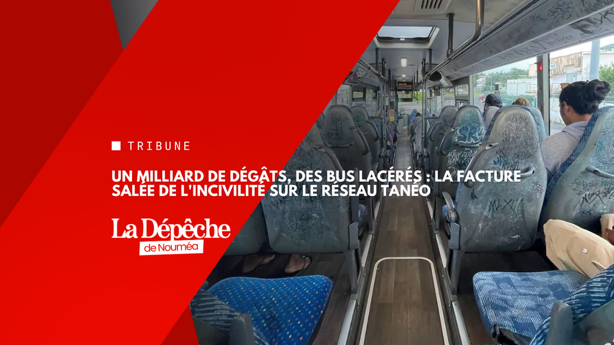 Un milliard de dégâts, des bus lacérés : la facture salée de l'incivilité sur le réseau Tanéo