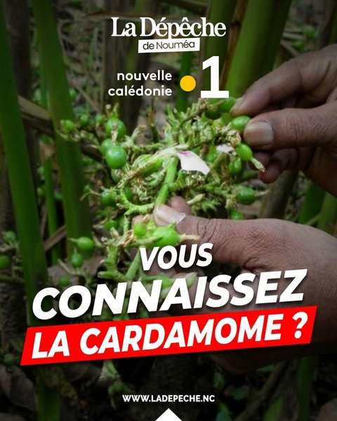 Lire