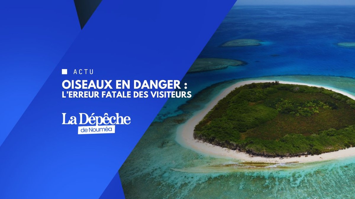 Une erreur et toute une nichée disparaît